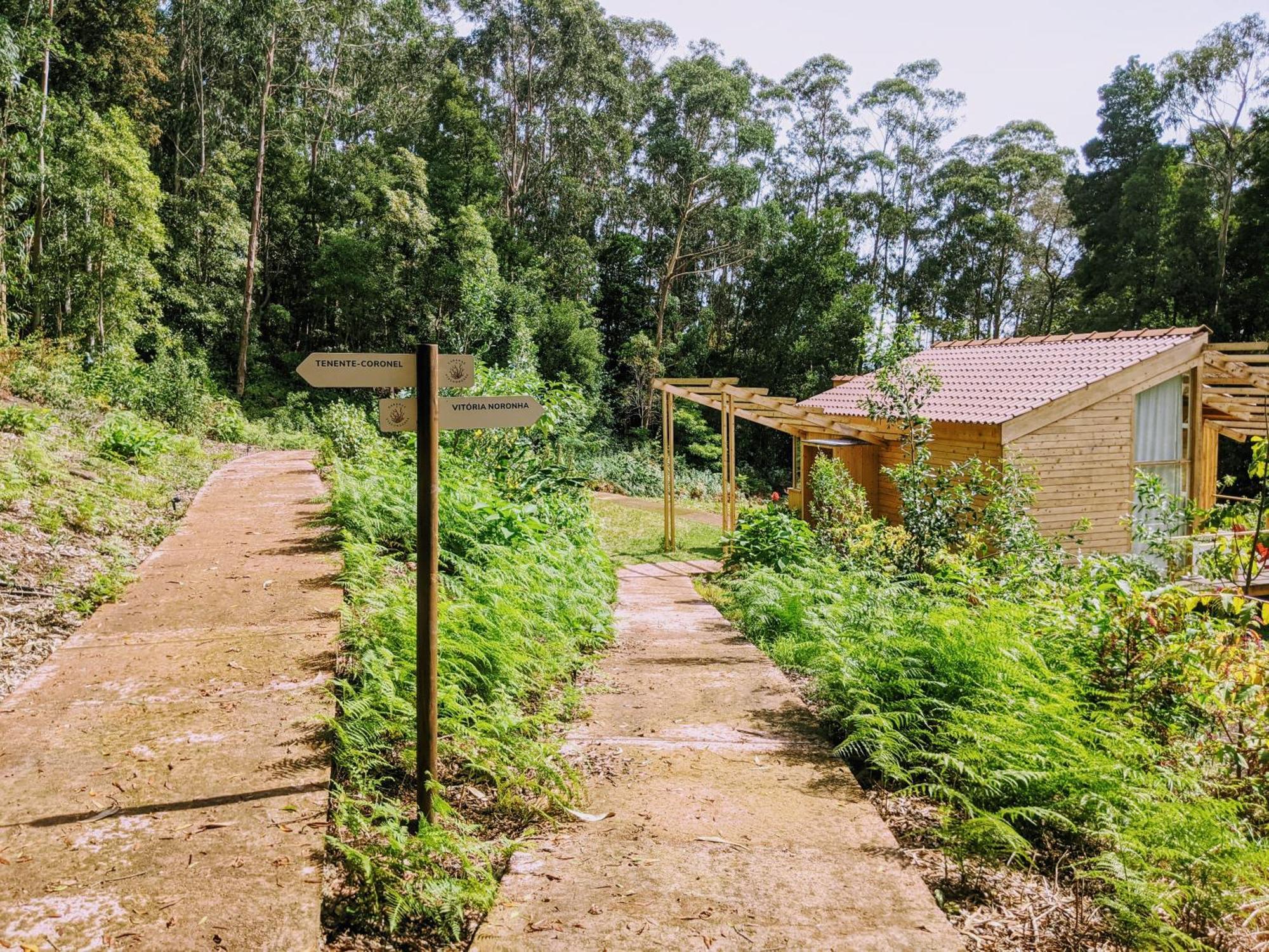 Cabanas Da Viscondessa Urzelina ภายนอก รูปภาพ